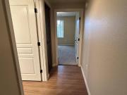 Open room in South Scottsdale