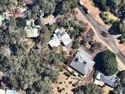 Home Among the Trees