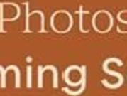 Open the Door to Light, Low‑Maintenance Living