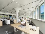 Openspace Büro Flexibel & Anpassungsfähig, perfekt für...