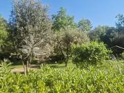 Opio 06650 Achat / Vente terrain