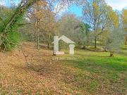 Opio 06650 Achat / Vente terrain