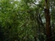 OPORTUNIDAD LOTES PARA CONSTRUIR CASAS...