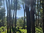 Oportunidad de inversion