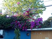 Oportunidad de inversion casa 2 recamaras 1 baño en...