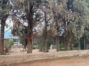 OPORTUNIDAD DE INVERSION. HERMOSA GRANJA COMPLETA A...