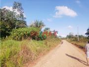 Oportunidad De Inversion Terreno Agrícola Ucayali