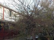 Oportunidad de Renca Departamento