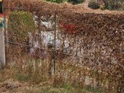 Oportunidad de terreno en venta!