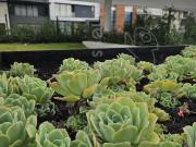 Oportunidad Departamento en la Sexta Sección de Lomas Verdes