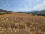 ? ¡OPORTUNIDAD EN ÁLORA! FINCA RÚSTICA de 23.873 m² con...