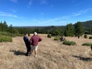 OPORTUNIDAD EN CONCEPCIÓN, VENTA PARCELA 10000M2