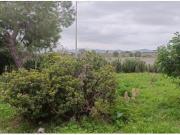 Oportunidad en Cuevas de Reyllo: Casa con gran parcela