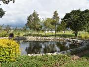 Oportunidad En Puembo, Venta De Hermoso Lote En...