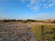 Oportunidad en Zona de Expansión Urbana – 4.4 Ha en...