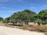 Oportunidad estratégica en Pago del Humo