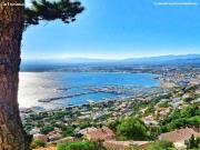 Oportunidad! Estudio a 1ª linea de mar