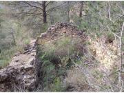 OPORTUNIDAD FINCA RUSTICA DE 4,2 HAS INCULTIVADA CON UNA...