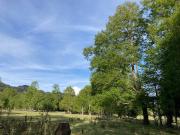 Oportunidad Hauslink Vende Precioso Campo Precordillerano Vi