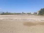 OPORTUNIDAD INVERSORES Y PROMOTORES INMOBILIARIOS