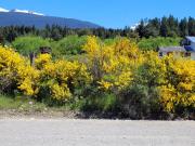 Oportunidad! Lote en Barrio Luján