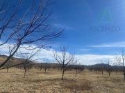 OPORTUNIDAD ?NICA? VENTA DE NOGALERA EN EJIDO...