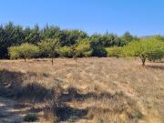 oportunidad para inversionistas parcela plana en buen sector