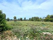 Oportunidad Para Un Interesante Desarrollo Inmobiliario