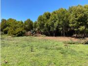 OPORTUNIDAD PARCELA, BRISAS DE BUCALEMU