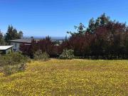 Oportunidad, parcela con lomaje suave en Algarrobo norte