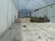 OPORTUNIDAD SE VENDE COMO TERRENO, BARDADO, EXCELENTE...