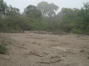 Oportunidad! Terreno 3/P Surco 12,743 m² bajó a $9&apos...