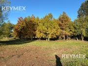 Terreno con muro perimetral,salida a 2 calles, lago y...