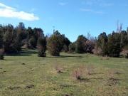 Oportunidad Terreno Chiloé Oportunidad Terreno Chiloé