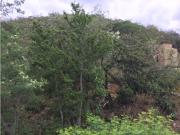 OPORTUNIDAD Terreno en Venta San Michelle Carr Nacional HZ