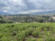 OPORTUNIDAD TERRENO EN VENTA SECTOR SAN MIGUEL EL QUINCHE