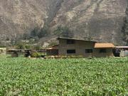 Oportunidad! Terreno Ollantaytambo plano 5836 m2 $50 m2...