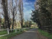 Parcela Futuro Tren de Batuco Oportunidad Parcela Futuro Tren de Batuco Oportunidad