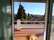 ¡Oportunidad única! 2 villas en la misma parcela –...