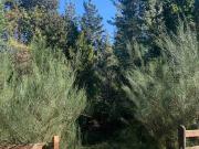 Oportunidad única Oportunidad única