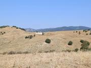 Oportunidad única de adquirir una gran finca agrícola...