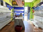 Oportunidad única de alquiler en Granada