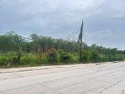 ¡Oportunidad única de inversión en Tampico, Tamaulipas!...