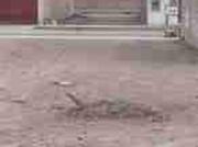 Oportunidad única de inversión! Terreno en venta en...