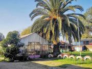 Oportunidad Única en Belloto Norte: Quinta con Potencial...