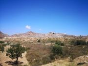 ¡Oportunidad Única en la Alcoraya!