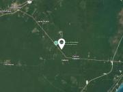 ¡Oportunidad única en la Ruta de los Cenotes, Quintana...