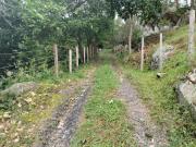Oportunidad úNica En San Antonio Del Tequendama