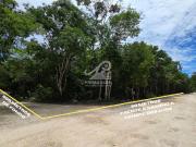 Terreno en venta en camino de acceso al Cenote Dos Ojos