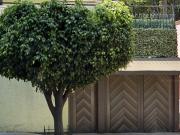 OPORTUNIDAD UNICA, ¡EXCELENTE INVERSION! REMATE ADJUDICADA!